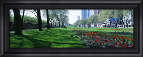 Framed Public Gardens, Loop, Cityscape, Grant Park, Chicago, Illinois, USA Print