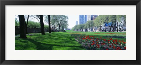 Framed Public Gardens, Loop, Cityscape, Grant Park, Chicago, Illinois, USA Print