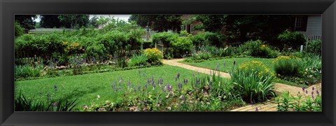 Framed USA, Virginia, Williamsburg, colonial garden Print