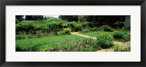 Framed USA, Virginia, Williamsburg, colonial garden Print