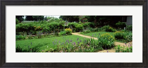 Framed USA, Virginia, Williamsburg, colonial garden Print