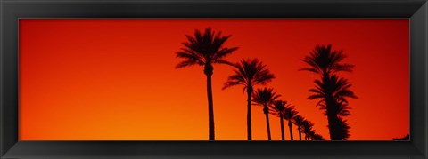 Framed Silhouette of Date Palm trees in a row at dawn, Phoenix, Arizona, USA Print