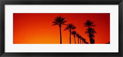 Framed Silhouette of Date Palm trees in a row at dawn, Phoenix, Arizona, USA Print