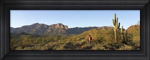 Framed Hiker standing on a hill, Phoenix, Arizona, USA Print