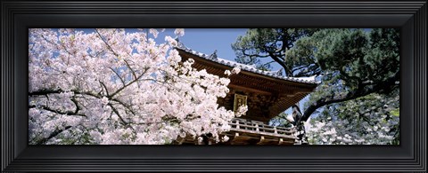 Framed Golden Gate Park, Japanese Tea Garden Print