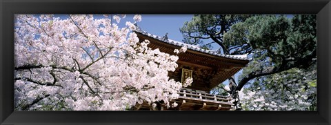 Framed Golden Gate Park, Japanese Tea Garden Print