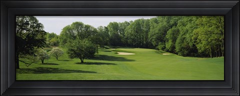 Framed Trees On A Golf Course, Baltimore Country Club, Baltimore, Maryland, USA Print