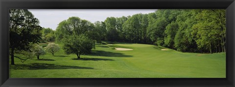 Framed Trees On A Golf Course, Baltimore Country Club, Baltimore, Maryland, USA Print