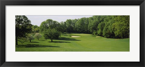 Framed Trees On A Golf Course, Baltimore Country Club, Baltimore, Maryland, USA Print