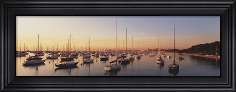 Framed Sunset &amp; harbor Chicago IL USA Print