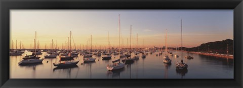 Framed Sunset &amp; harbor Chicago IL USA Print