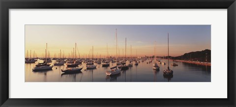 Framed Sunset &amp; harbor Chicago IL USA Print