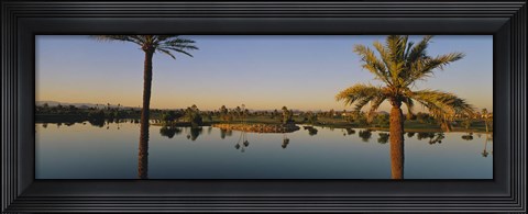 Framed Palm trees at the lakeside, Phoenix, Maricopa County, Arizona, USA Print
