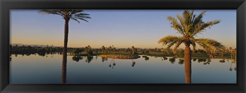 Framed Palm trees at the lakeside, Phoenix, Maricopa County, Arizona, USA Print