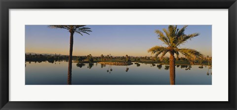 Framed Palm trees at the lakeside, Phoenix, Maricopa County, Arizona, USA Print