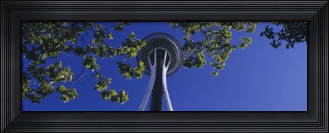 Framed Space Needle Maple Trees Seattle Center Seattle WA USA Print