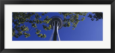 Framed Space Needle Maple Trees Seattle Center Seattle WA USA Print