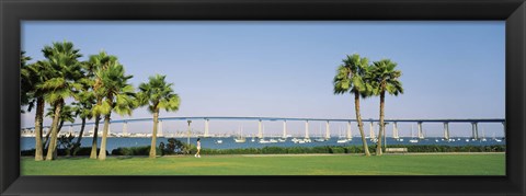 Framed Palm trees on the coast with bridge in the background, Coronado Bay Bridge, San Diego, San Diego County, California, USA Print
