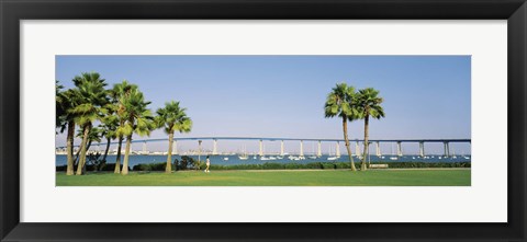 Framed Palm trees on the coast with bridge in the background, Coronado Bay Bridge, San Diego, San Diego County, California, USA Print