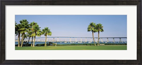 Framed Palm trees on the coast with bridge in the background, Coronado Bay Bridge, San Diego, San Diego County, California, USA Print