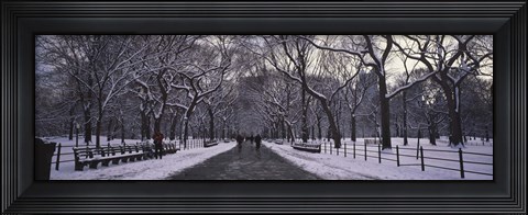 Framed Bare trees in a park, Central Park, New York City, New York State, USA Print