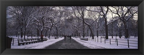 Framed Bare trees in a park, Central Park, New York City, New York State, USA Print