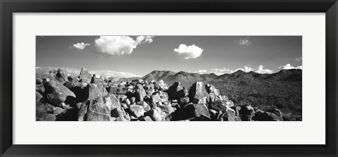 Framed Boulders on a landscape, Saguaro National Park, Tucson, Pima County, Arizona, USA Print