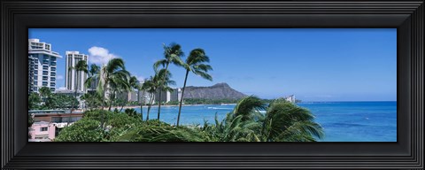 Framed Palm Trees On The Beach, Waikiki Beach, Honolulu, Oahu, Hawaii, USA Print