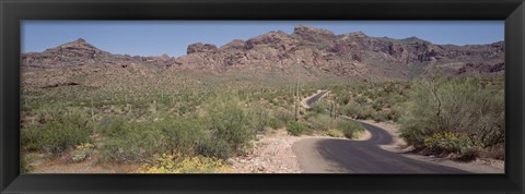 Framed USA, Arizona, Dreamy Draw Park, Cactus along a road Print