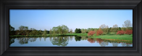 Framed Pond at a golf course, Towson Golf And Country Club, Towson, Baltimore County, Maryland, USA Print