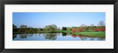 Framed Pond at a golf course, Towson Golf And Country Club, Towson, Baltimore County, Maryland, USA Print