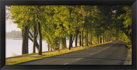 Framed Trees along a road, Lake Washington Boulevard, Seattle, Washington State, USA Print