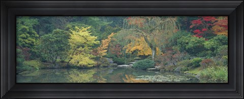 Framed Japanese Garden Seattle WA Print