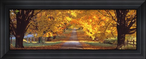 Framed Road, Baltimore County, Maryland, USA Print