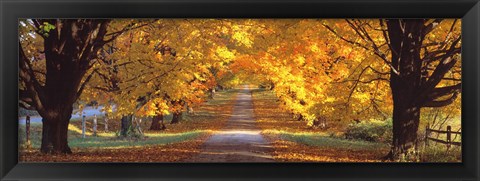 Framed Road, Baltimore County, Maryland, USA Print