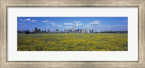 Framed Yellow Flowers in a park with Manhattan in the background, New York City Print