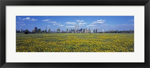 Framed Yellow Flowers in a park with Manhattan in the background, New York City Print