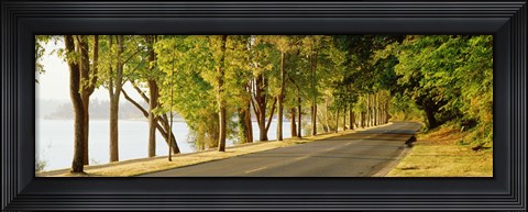Framed Trees on both sides of a road, Lake Washington Boulevard, Seattle, Washington State, USA Print