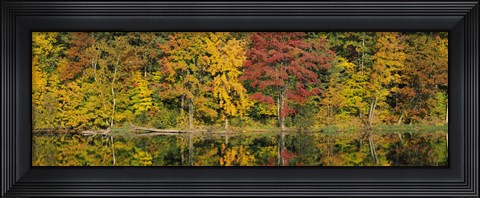 Framed Reflection of trees in water, Saratoga Springs, New York City, New York State, USA Print