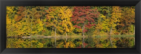 Framed Reflection of trees in water, Saratoga Springs, New York City, New York State, USA Print