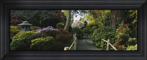 Framed Plants in a garden, Japanese Tea Garden, San Francisco, California, USA Print