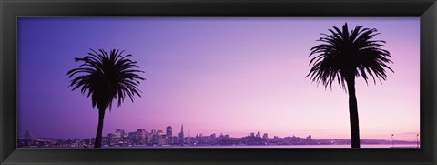 Framed San Francisco skyline between 2 palm trees, California Print