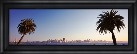 Framed Palm Trees At Dusk, San Francisco, California, USA Print