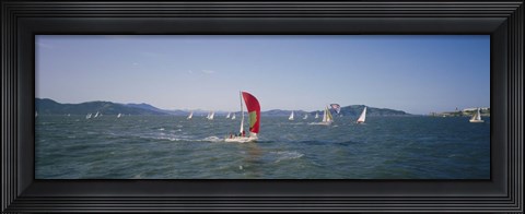 Framed Sailboats in the water, San Francisco Bay, California, USA Print