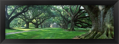 Framed USA, Louisiana, New Orleans, Oak Alley Plantation, plantation home through alley of oak trees Print