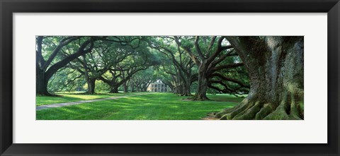 Framed USA, Louisiana, New Orleans, Oak Alley Plantation, plantation home through alley of oak trees Print