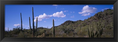 Framed Desert Road AZ Print