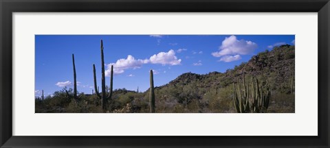 Framed Desert Road AZ Print