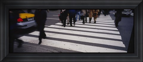 Framed Group of people crossing at a zebra crossing, New York City, New York State, USA Print