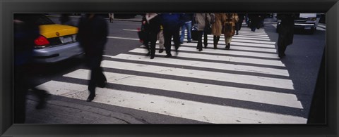 Framed Group of people crossing at a zebra crossing, New York City, New York State, USA Print